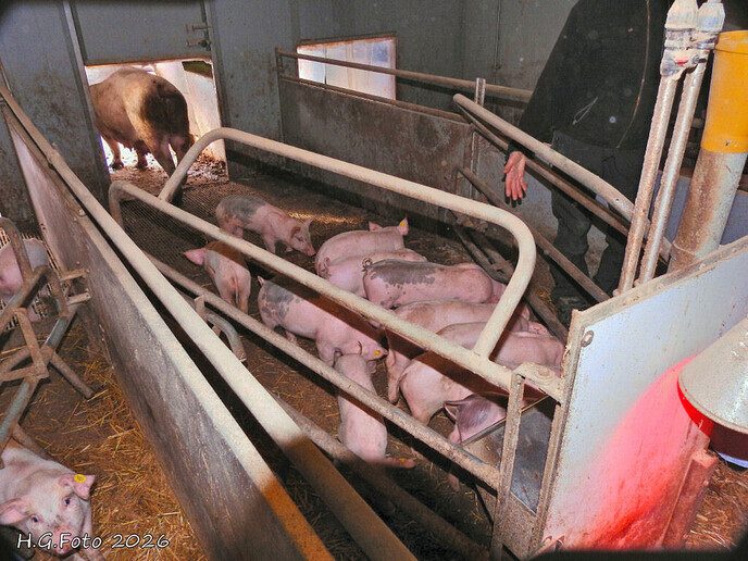 Vier vriendinnen op bezoek aan’t Zandeinde,