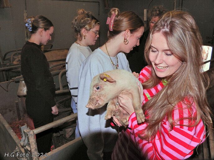 Vier vriendinnen op bezoek aan’t Zandeinde,