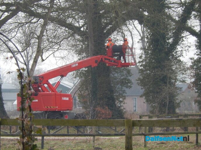 Tijd van het jaar om te snoeien - Foto: Willy