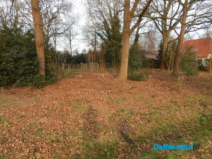 Joods begraafplaats nu weer zichtbaar - Foto: Willy