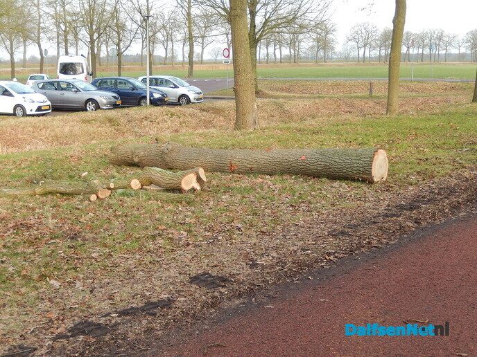 Tijd van het jaar om te snoeien - Foto: Willy