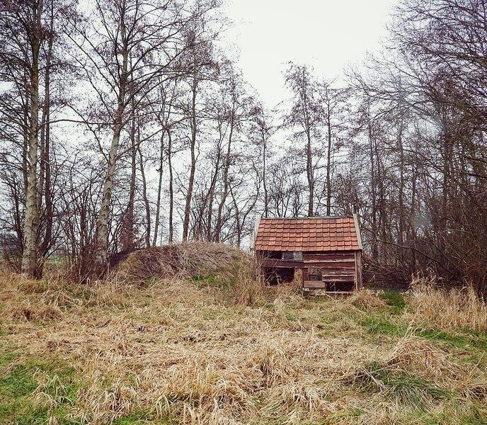 Nieuwleusen Noord komt in bloei - Foto: Femmie Smink
