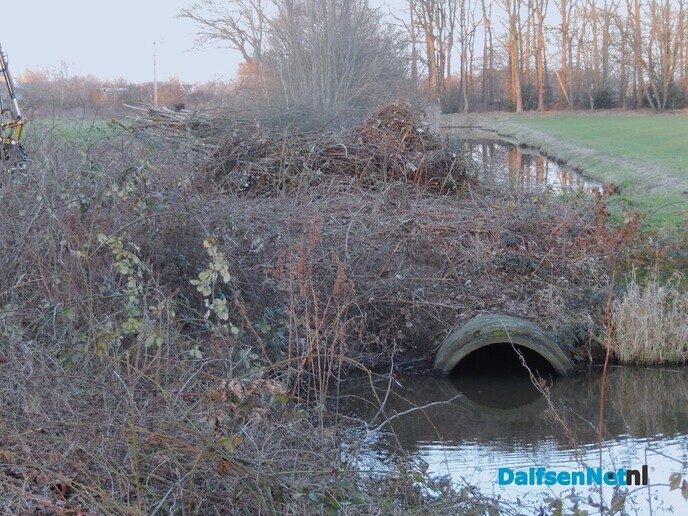 Het waterschap ook druk aan het snoeien - Foto: Willy