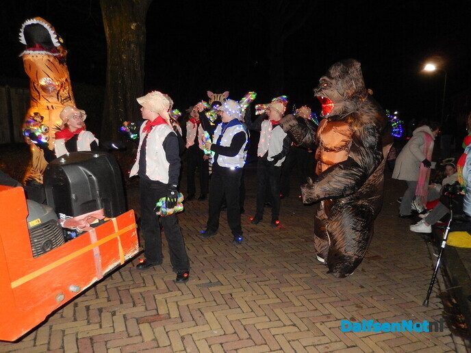 Enorme belangstelling verlichte optocht Lemelerveld - Foto: Willy