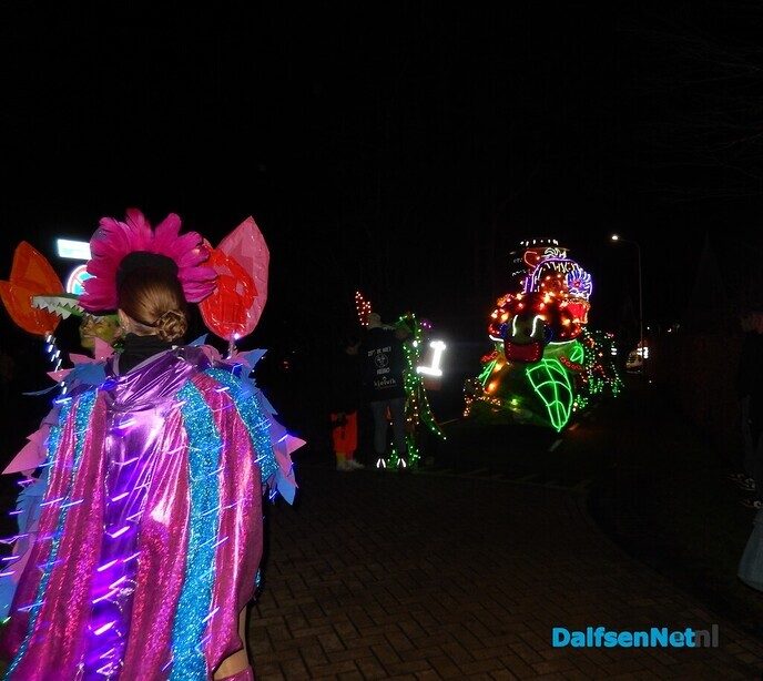 Enorme belangstelling verlichte optocht Lemelerveld - Foto: Willy
