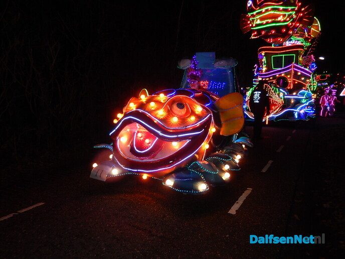 Enorme belangstelling verlichte optocht Lemelerveld - Foto: Willy