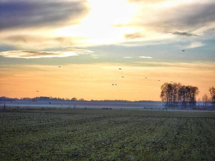 Natuurgebied in de Pieperij - Foto: Femmie Smink