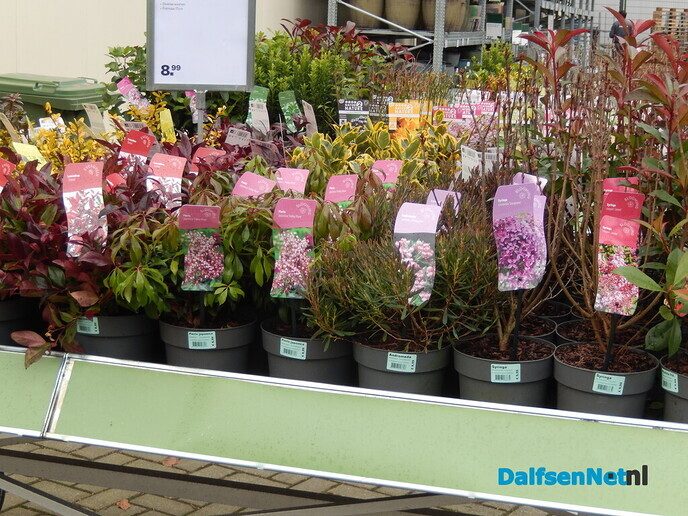 De mooie periode voor planten komt eraan - Foto: Willy