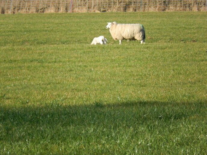 Het voorjaar is begonnen - Foto: Ingezonden foto