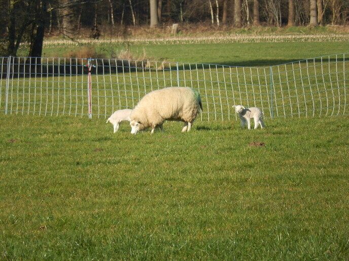 Het voorjaar is begonnen - Foto: Ingezonden foto