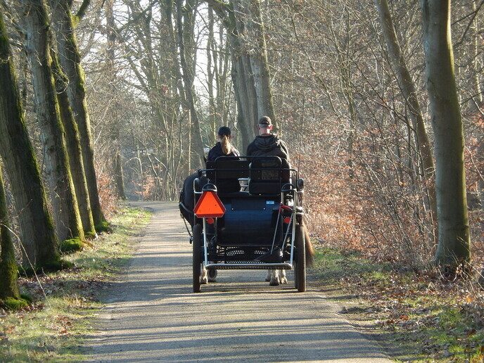 Het voorjaar is begonnen - Foto: Ingezonden foto