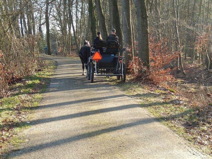 Het voorjaar is begonnen - Foto: Ingezonden foto