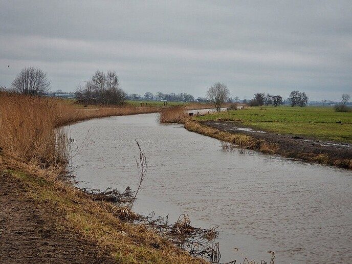 Goudentijden voor de natuurfotograaf komt er aan - Foto: Femmie Smink