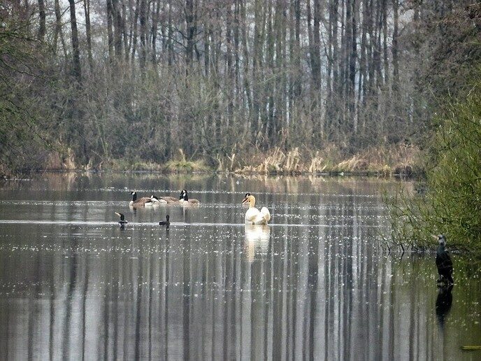 Goudentijden voor de natuurfotograaf komt er aan - Foto: Femmie Smink