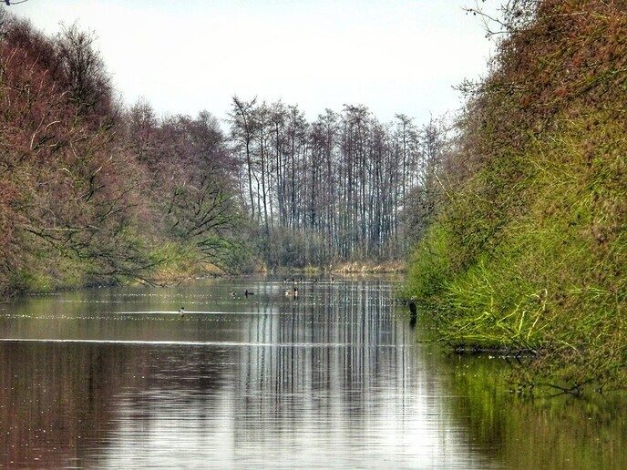 Goudentijden voor de natuurfotograaf komt er aan - Foto: Femmie Smink