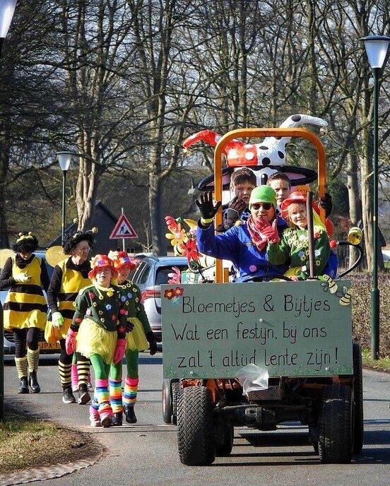 Carnavalsoptocht Vilsteren deel 2 - Foto: Femmie Smink