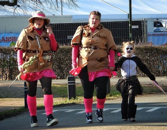 Carnavalsoptocht Vilsteren deel 2 - Foto: Femmie Smink