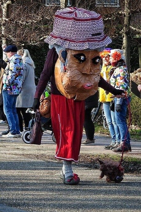 Carnavalsoptocht Vilsteren deel 2 - Foto: Femmie Smink