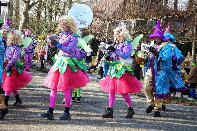 Carnavalsoptocht Vilsteren deel 2 - Foto: Femmie Smink