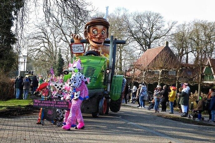Carnavalsoptocht Vilsteren deel 2 - Foto: Femmie Smink