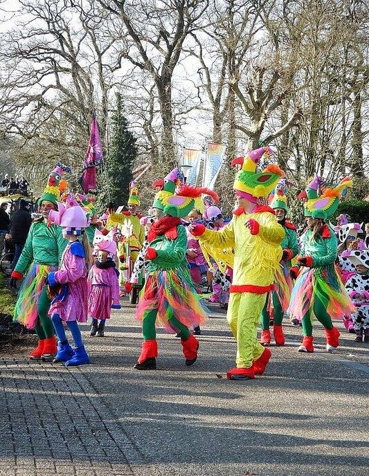 Carnavalsoptocht Vilsteren deel 2 - Foto: Femmie Smink