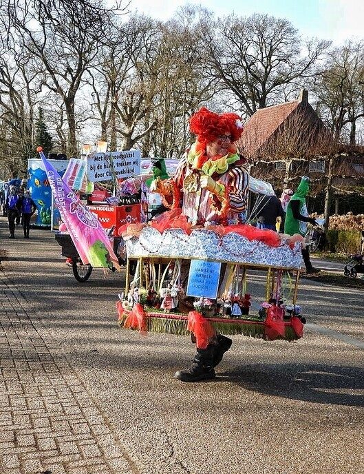 Carnavalsoptocht Vilsteren (update) - Foto: Femmie Smink