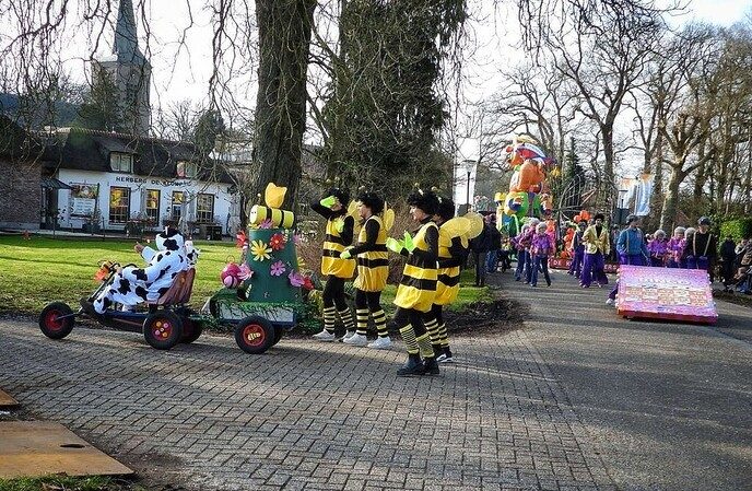 Carnavalsoptocht Vilsteren (update) - Foto: Femmie Smink