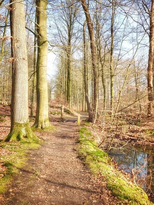 Femmie naar buurgemeente Ommen wandelen en ontdekken - Foto: Femmie Smink