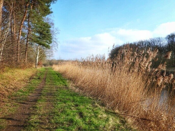Femmie naar buurgemeente Ommen wandelen en ontdekken - Foto: Femmie Smink