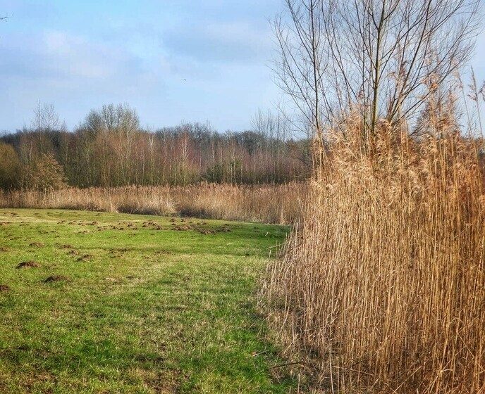 Femmie naar buurgemeente Ommen wandelen en ontdekken - Foto: Femmie Smink