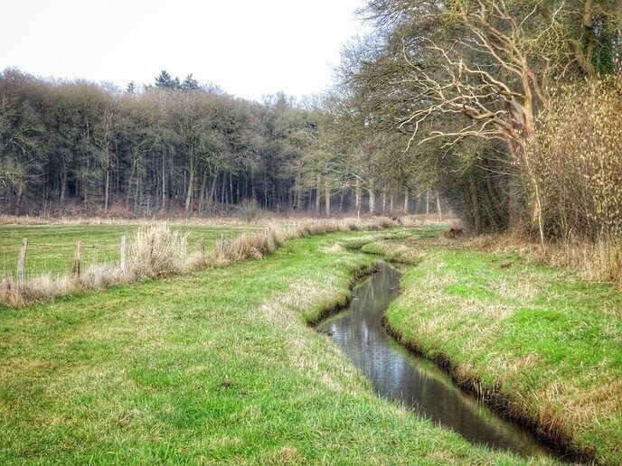 Femmie naar buurgemeente Ommen wandelen en ontdekken - Foto: Femmie Smink