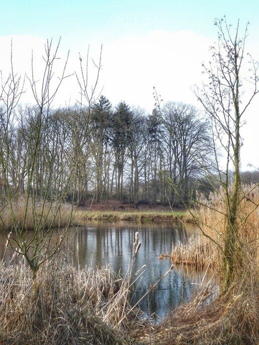 Femmie naar buurgemeente Ommen wandelen en ontdekken - Foto: Femmie Smink