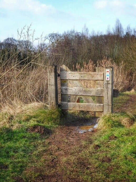 Femmie naar buurgemeente Ommen wandelen en ontdekken - Foto: Femmie Smink