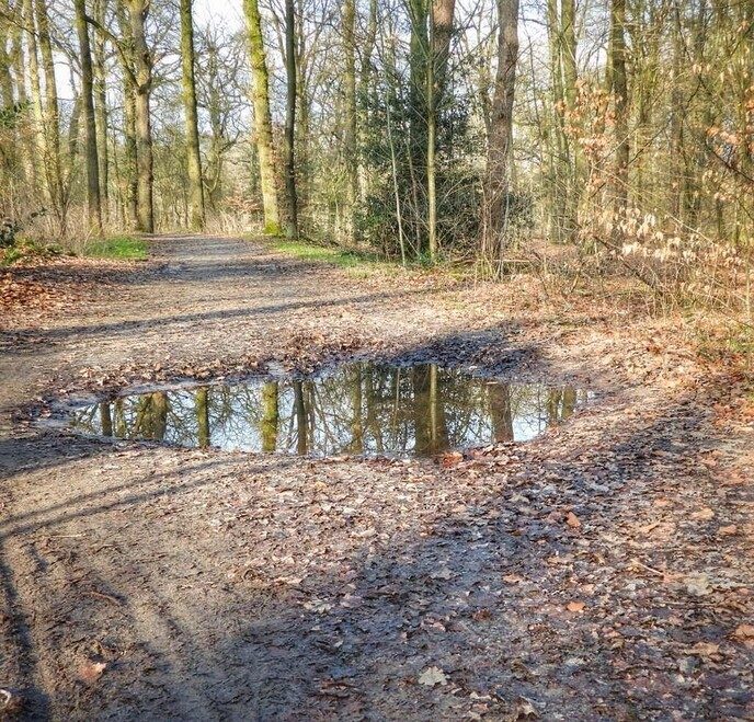 Femmie naar buurgemeente Ommen wandelen en ontdekken - Foto: Femmie Smink
