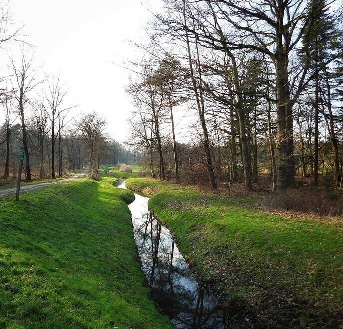 Femmie naar buurgemeente Ommen wandelen en ontdekken - Foto: Femmie Smink