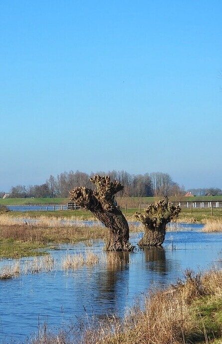 Prachtige foto’s Vreugderijkerwaard, volgende serie - Foto: Femmie Smink