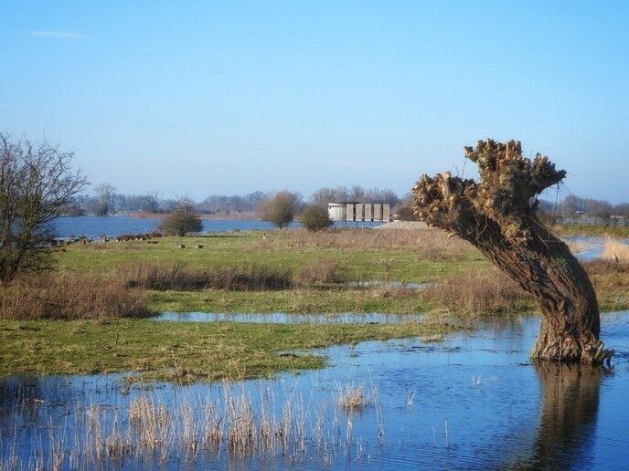 Prachtige foto’s Vreugderijkerwaard, volgende serie - Foto: Femmie Smink