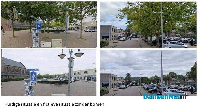 Vrienden van Dalfsen tegen kap platanen RK Kerk - Foto: Ingezonden foto