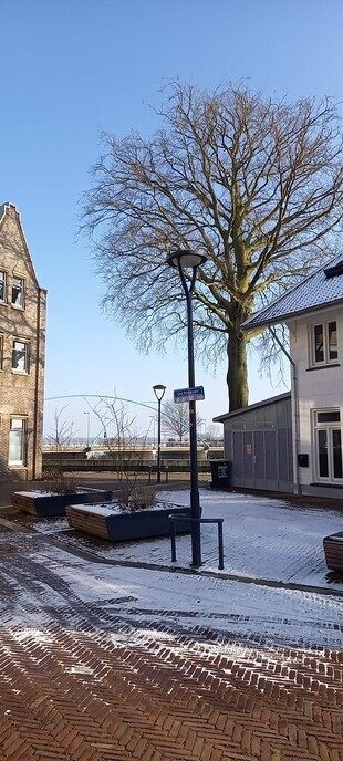 Wat was hij mooi die rode beuk - Foto: Ingezonden foto