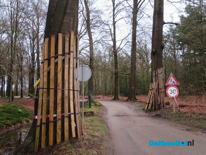 Vroege wandeling, Paarse route wandelnetwerk vanaf Hoonhorst - Foto: Wim