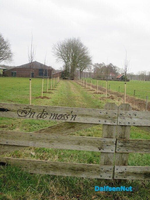 Vroege wandeling, Paarse route wandelnetwerk vanaf Hoonhorst - Foto: Wim