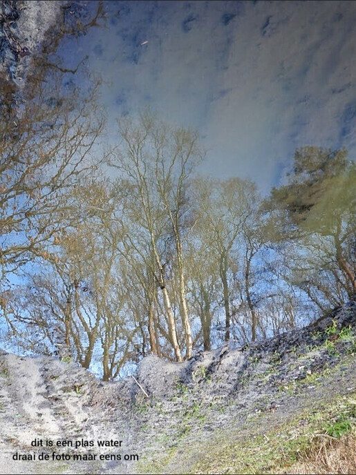 Femmie naar buurgemeente Ommen wandelen en ontdekken - Foto: Femmie Smink
