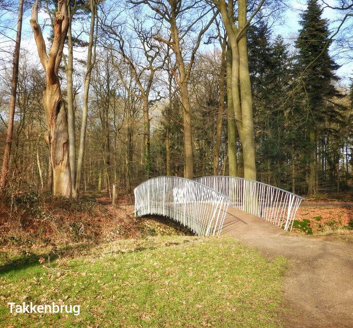 Femmie naar buurgemeente Ommen wandelen en ontdekken - Foto: Femmie Smink