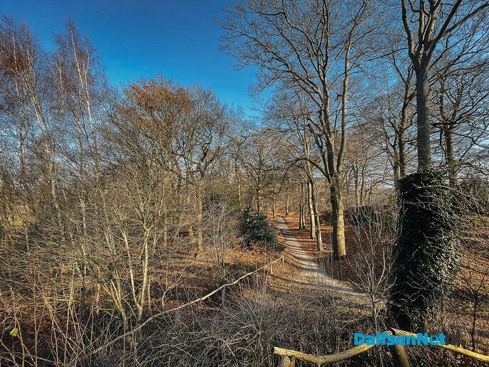 Het boerenland leek te glimlachen - Foto: Ruud Montagne
