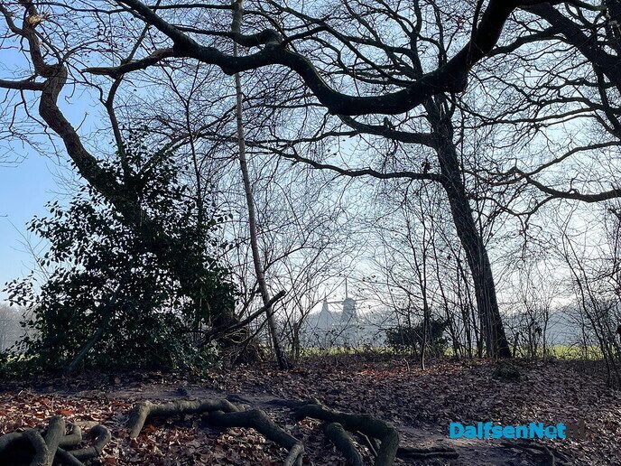 Het boerenland leek te glimlachen - Foto: Ruud Montagne
