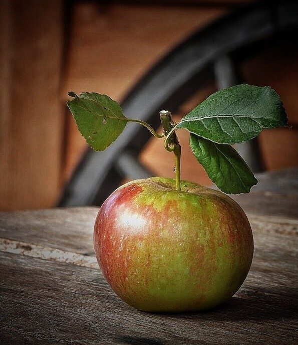 Appeltje, eitje - Foto: Femmie Smink