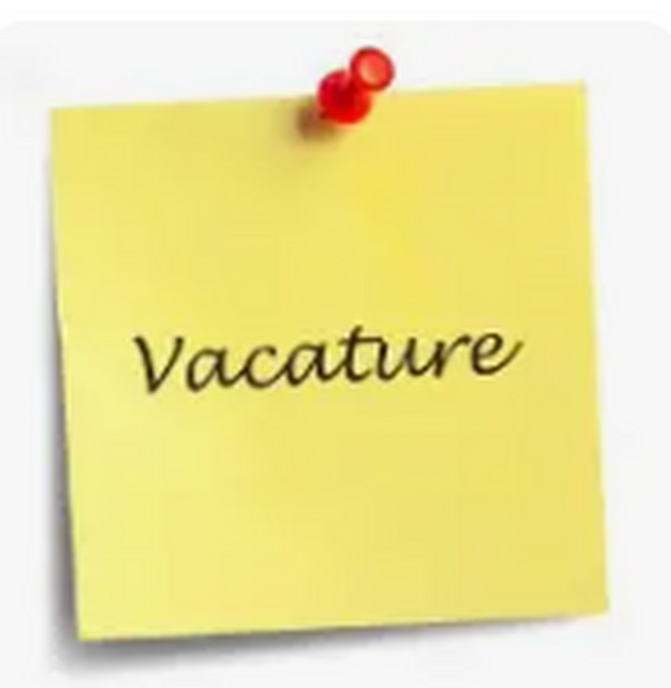 Nog snel een vakantiebaantje mee pakken?