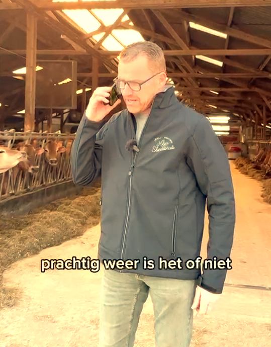 Voorjaarskriebels: de koeien in de weide! - Foto: Ingezonden foto