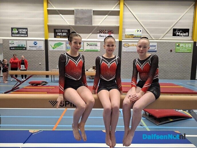 Turnsters gym. ver. Nieuwleusen presteren uitstekend - Foto: Ingezonden foto