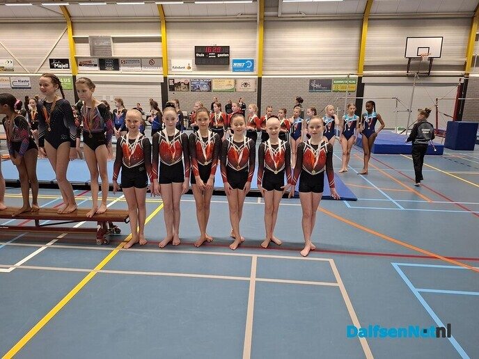 Turnsters gym. ver. Nieuwleusen presteren uitstekend - Foto: Ingezonden foto